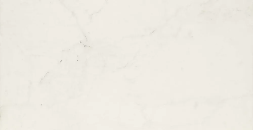 Marazzi italie ALLMARBLE Wit glans 60X120cm ( MRZMMGR ) Veilige Betaling