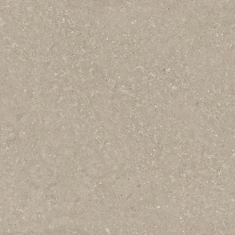Bestel Nu Del Conca WILD Grijs mat 60X60cm ( DLCHWD11R )