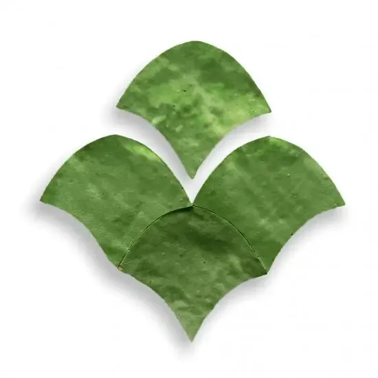 Zelliges Alhambra Alhambra Fishscale 14 Vert Printemps Gratis Retour