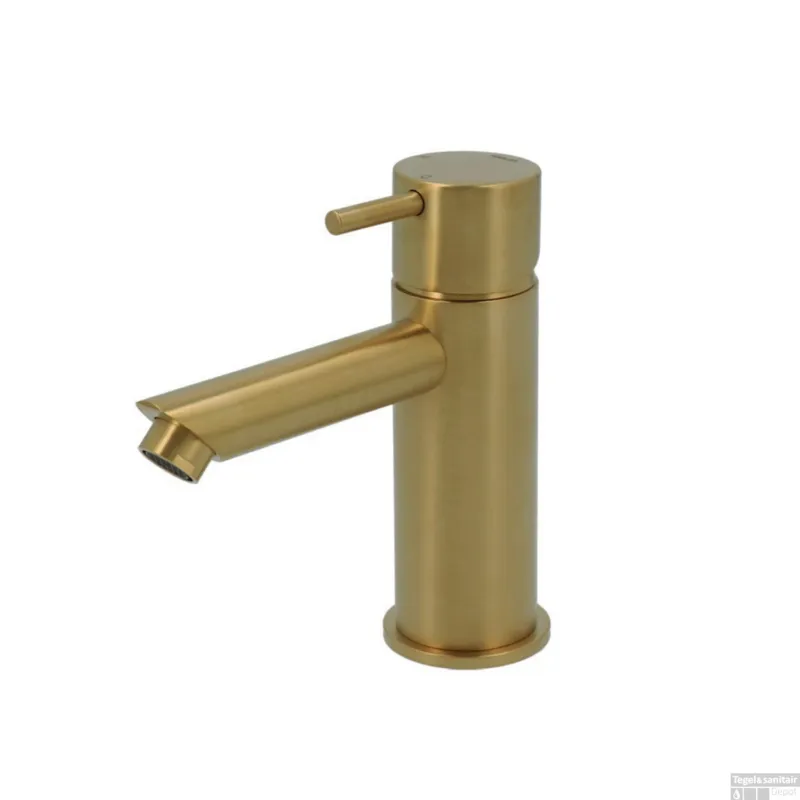 Wastafelmengkraan Hotbath Cobber 1-hendel Recht 14.3 cm Geborsteld Messing Living Colours Laatste Versie