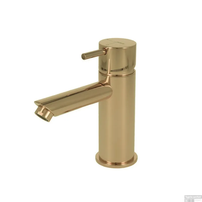 Must-Have Wastafelmengkraan Hotbath Cobber 1-hendel Recht 14.3 cm Gepolijst Messing Living Colours