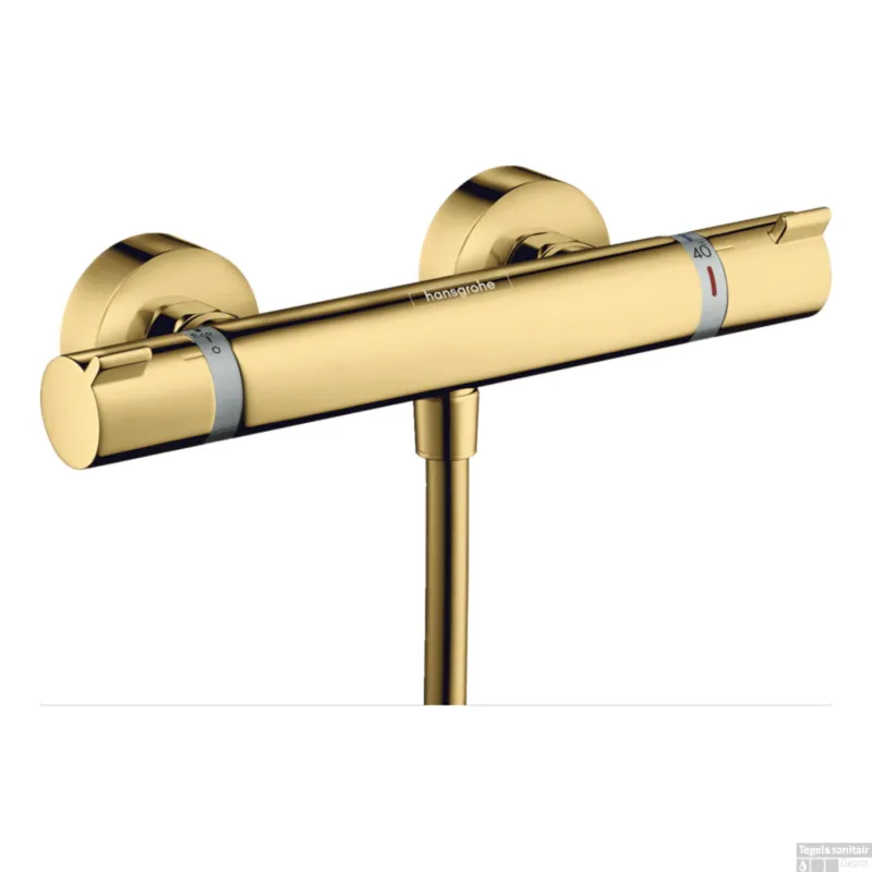 Shop Nu Opbouw Douchethermostaat Ecostat Comfort Hansgrohe Gepolijst Goud