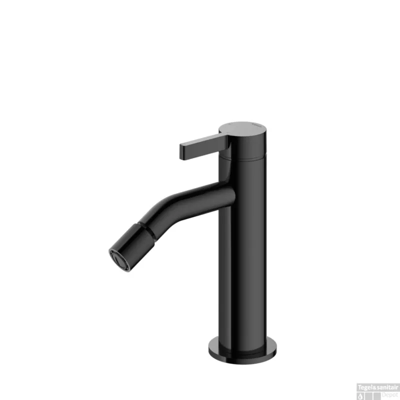 Shop Nu Bidetmengkraan Hotbath Ace 15.5 Cm Gepolijst Zwart PVD