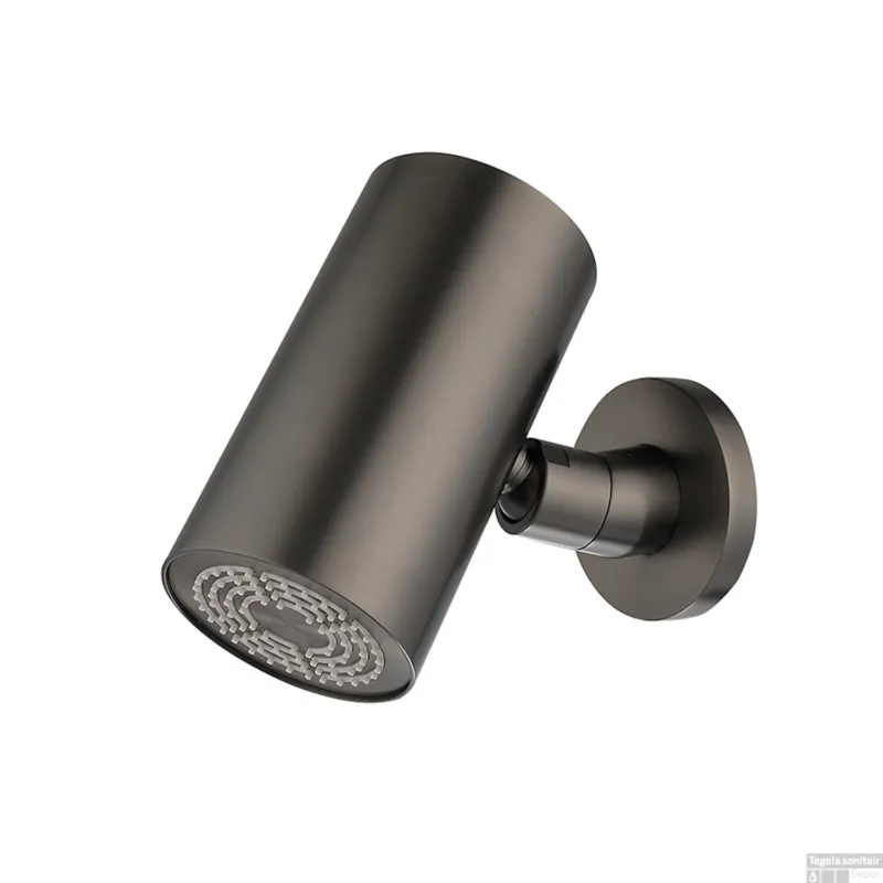 Goedkoop Hoofddouche BWS Maya Beam Rond 1 Stand met Muurbevestiging Gunmetal PVD