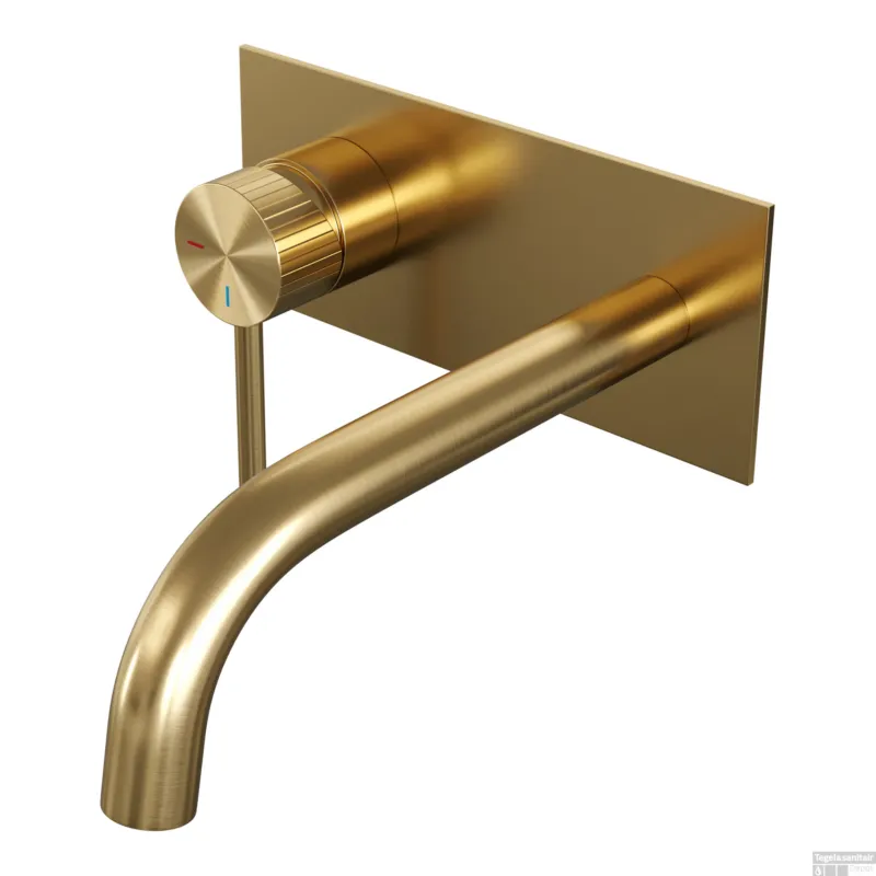 Brauer Stripe inbouw wastafelmengkraan met gebogen uitloop en afdekplaat model A2 goud geborsteld PVD Direct Beschikbaar
