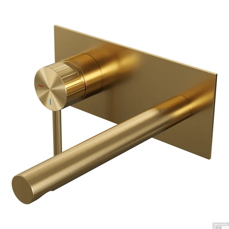 Merkproduct Brauer Stripe inbouw wastafelmengkraan met rechte uitloop en afdekplaat model A2 goud geborsteld PVD