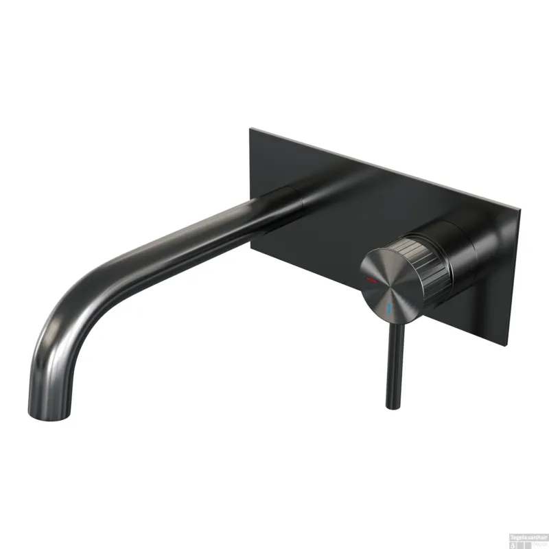 Voordeelprijs Brauer Stripe inbouw wastafelmengkraan met gebogen uitloop en afdekplaat model A1 gunmetal geborsteld PVD