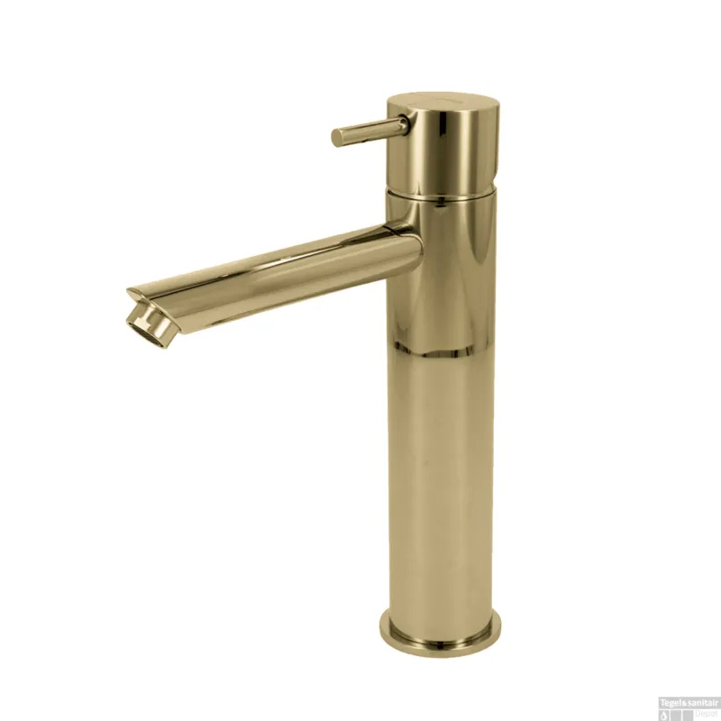 Betrouwbaar Wastafelmengkraan Hotbath Cobber 1-hendel Recht 21.6 cm Gepolijst Messing PVD