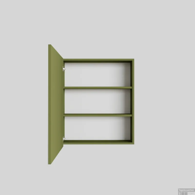 Meest Verkocht Spiegelkast BWS Cube 60x70x16 cm 1 Deur Groen