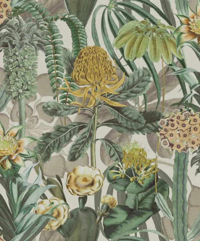 Behang Arte Birds of Paradise The Botanist BOP601 Lage Kosten