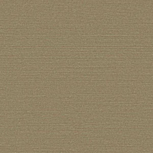 Behang Arte Birds of Paradise Silky BOP329 Beperkte Voorraad