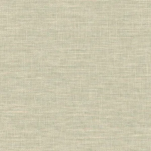 Behang Arte Essentials Les Naturels La Raphia Tisse Mint 26751 Koop Online