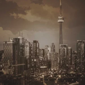 Dutch Wallcoverings City Love CL24C Premium