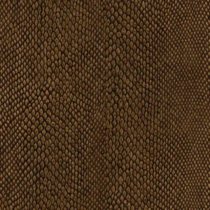 Beperkt Aanbod Hookedonwalls Leopard Walk Naja 15334 Behang