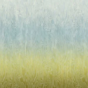 Koop Vandaag Masureel Wall Designs IV DG4MOI1071-260 Moire Sea Behang