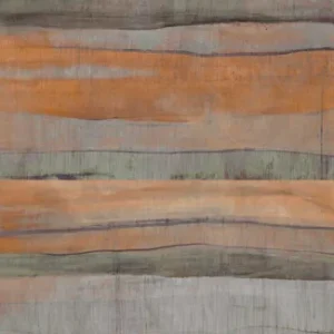 Masureel Wall Designs IV DG4MED1034-260 Medite Canyon Behang Alleen Vandaag