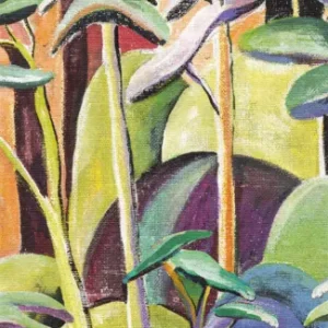 Snelle Levering Masureel Wall Designs IV DG4ILA3012-260 Cerreto Viridis Behang