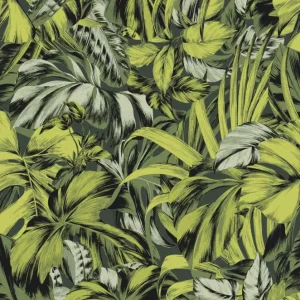 Laatste Kans Zoom by Masureel Zen ZEN102 Bonita Forest