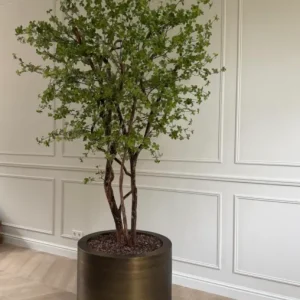 Pre order Uyuni Pot Aged Brass Tijdloos Design Speciale Aanbieding