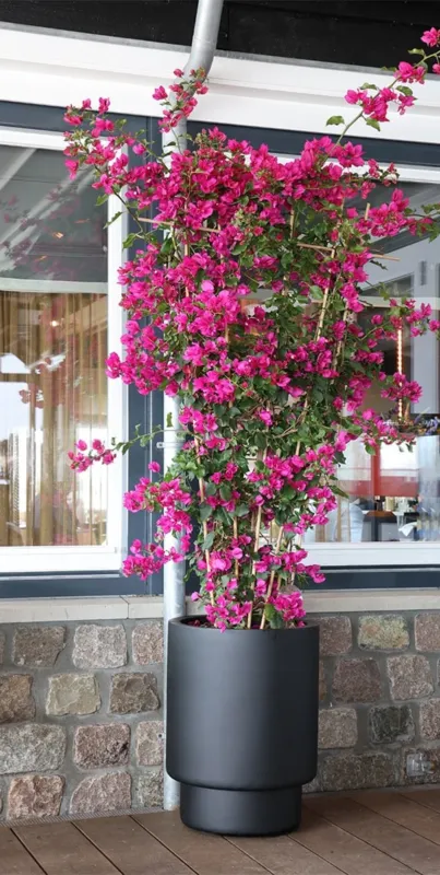 Nieuw Almstok big black Ø50 x H65 cm