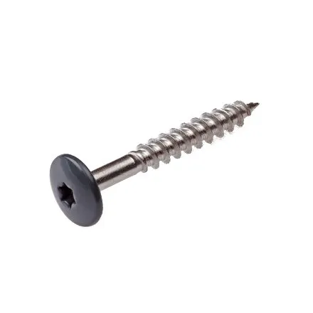 Actieprijs Kleurkopschroef RVS Zwart voor Trespa© platen 4.8 x 25/50 mm - Per doos - 32 mm