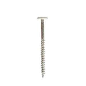 Direct Beschikbaar Kleurkopschroef RVS Wit voor Trespa© platen 4.8x60mm - Per doos 100 stuks