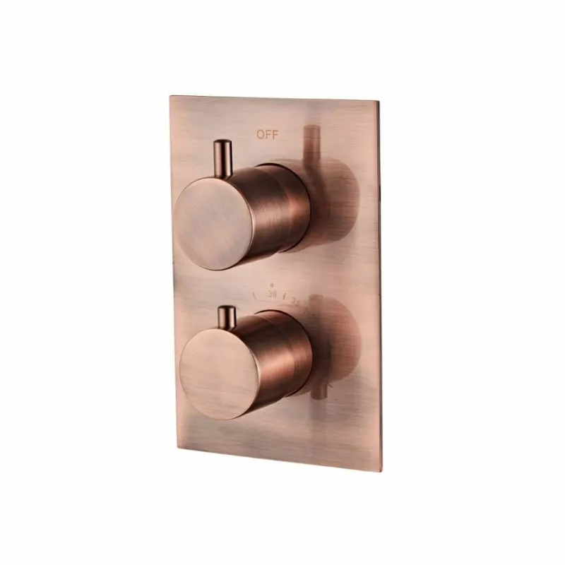 Beste Prijs Inbouw Douche Thermostaat BWS Koper Geborsteld Koper (Inclusief inbouwdeel)