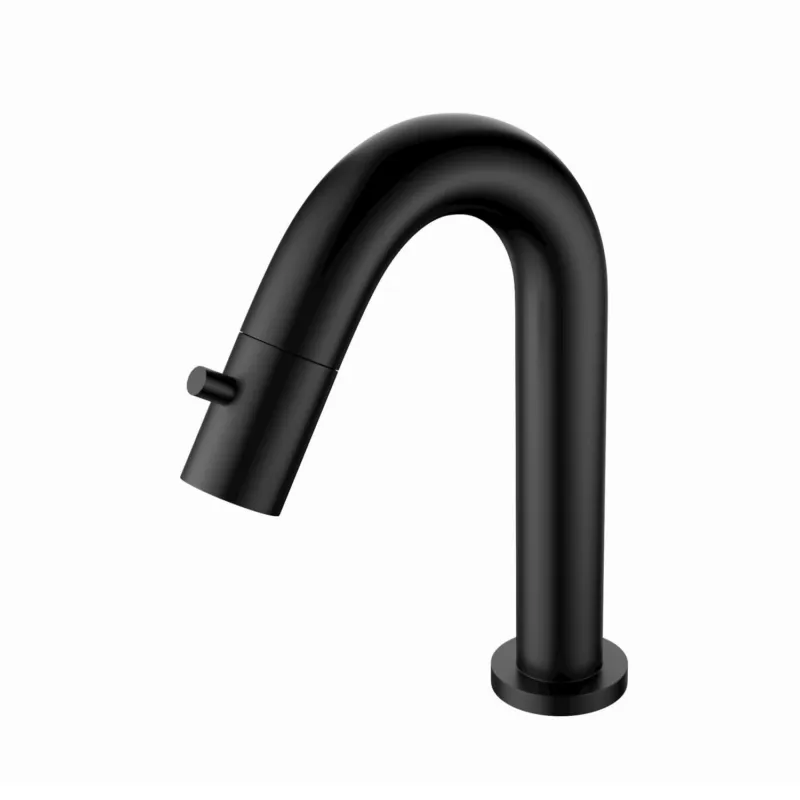 Speciale Aanbieding Fonteinkraan AquaSplash Colorato 19.5 cm Mat Zwart
