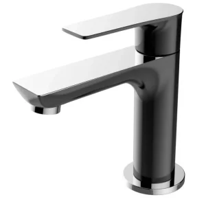 Praxi Toiletkraan Zwart Chroom Express Levering