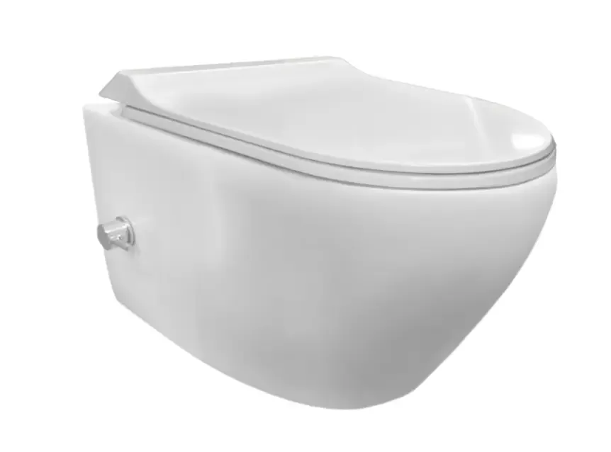 Sanicare Rondo randloos toilet wit glans met bidetsproeier- en kraan en softclose zitting Shop Nu