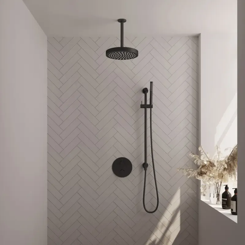Brauer Stripe inbouw regendouche rond met 25cm hoofddouche, rond met plafondarm, glijstang en staafhanddouche set 45 zwart mat Laatste Kans