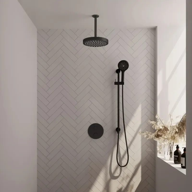 Brauer Stripe inbouw regendouche rond met 25cm hoofddouche, rond met plafondarm, glijstang en 3 standen handdouche set 48 zwart mat Koop Vandaag