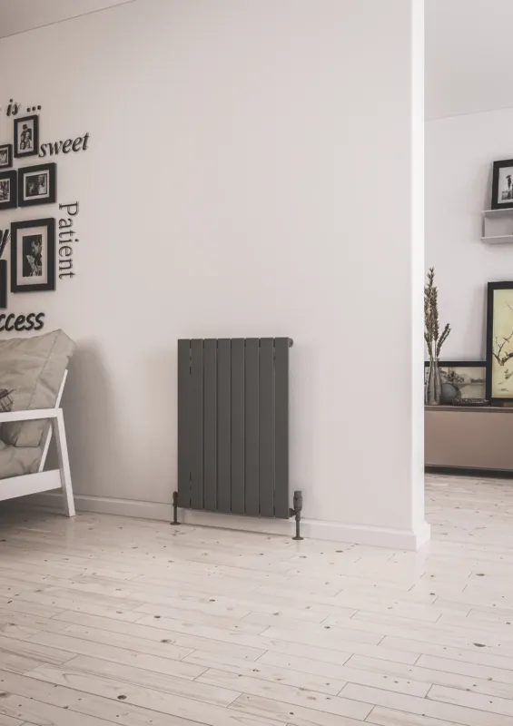 Rechtstreeks Van De Fabrikant Eastbrook Addington type 10 radiator 60x80cm staal 733W antraciet