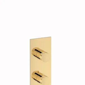 Plieger Roma inbouw douchethermostaat goud Dagaanbieding
