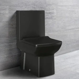 Koopje Sapho Luke staande wc mat zwart